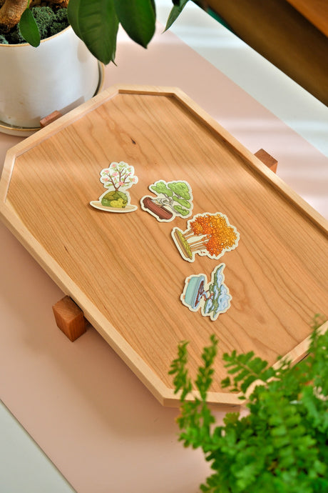 Four MySweetChubs bonsai stickers on a maple tea tray: spring blossom, summer green, fall gold and winter snow