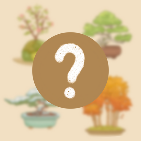 Mystery Seasonal Zen Bonsai Sticker (Spring, Summer, Fall, Winter)