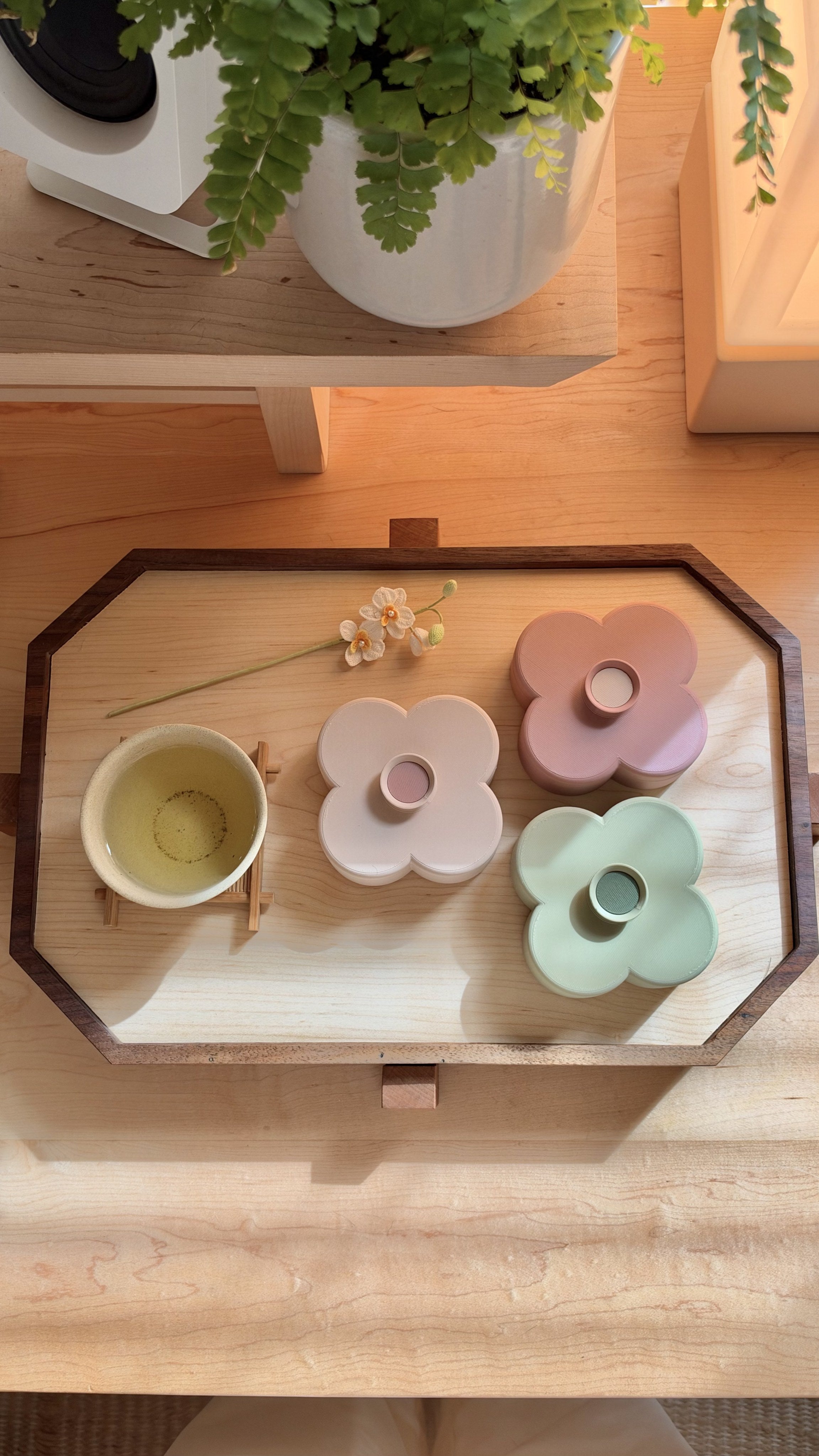 Fa trays on a Zen Tray in the afternoon sun