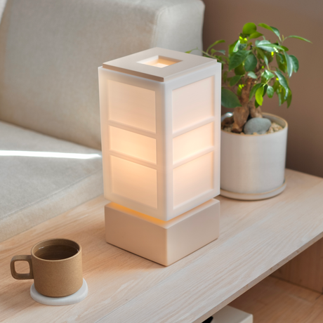 The Zen Light