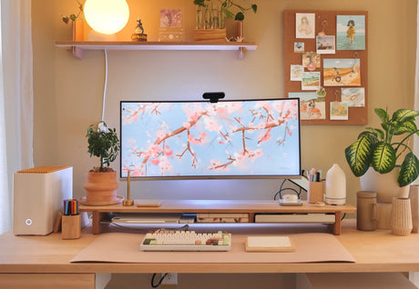 MySweetChubs Cozy Spring Cherry Blossom Digital Wallpaper